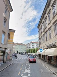 Spaziosa mansarda con balcone