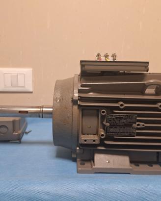 Motore Elettrico Trifase Flowserve