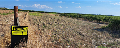 Terreno Agricolo località "Spartifieo"
