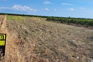 Terreno Agricolo località "Spartifieo"