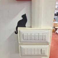 Gattino nero wall art