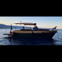 Barca Gozzo Esposito Positano 32