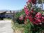 Immagine 23