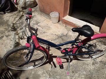 Bicicletta