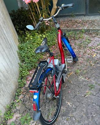 bici elettrica pochissimo usata per città vacanze