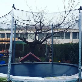 TRAMPOLINO ELASTICO DOMYOS DA ESTERNO 