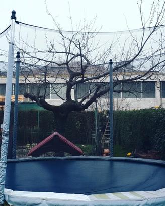 TRAMPOLINO ELASTICO DOMYOS DA ESTERNO 