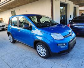 FIAT Panda 1.0 FireFly S&S Hybrid (PANDINA)_Km0