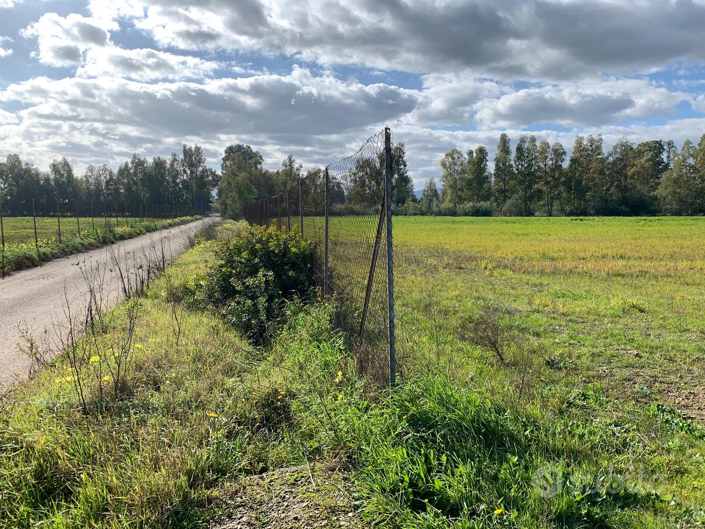 Terreno Agricolo Uta 15500mq - Vista 3