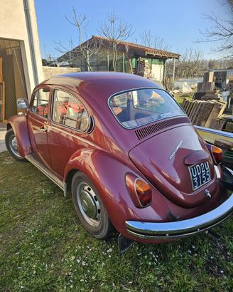Volkswagen Maggiolino