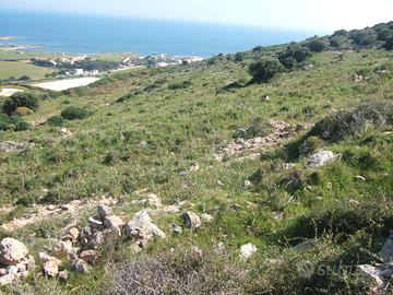 45.000 mq di terreno agricolo