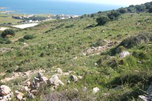 45.000 mq di terreno agricolo