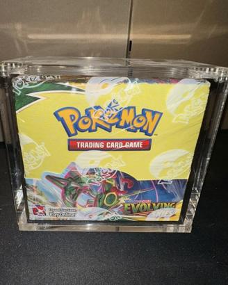 Pokémon TCG Display, Evolving Skies