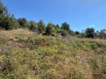 Terreno Montano Agricolo