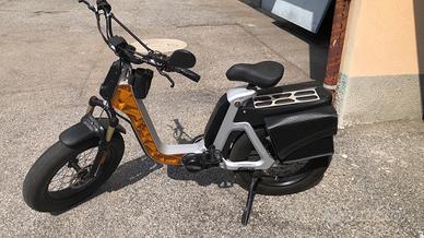 Fantic issimo