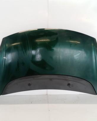 COFANO ANTERIORE FIAT F.500L 2012> usato