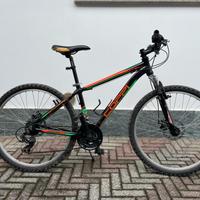 Mountain bike