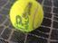 Immagine 4