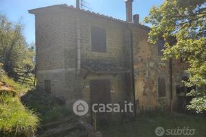 Appartamento e terreni