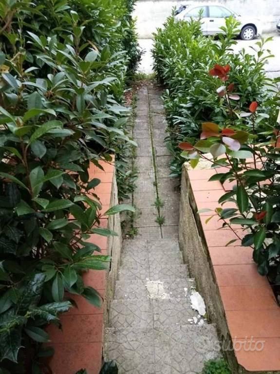 Appartamento – Castiglion Fiorentino, Montecchio Vesponi - Vista 4