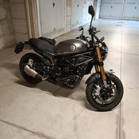 Benelli Leoncino 800