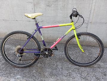 biciclette tipo Mountain bike due pezzi 