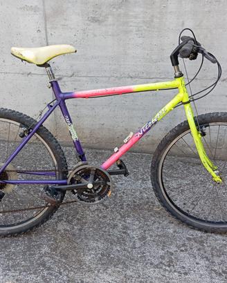biciclette tipo Mountain bike due pezzi 
