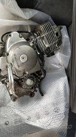 ricambi beta alp dr 200 