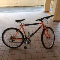 MOUNTAIN BIKE 