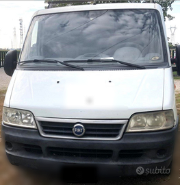 Furgone Fiat ducato