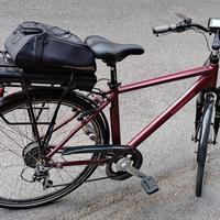 bicicletta pedalata assistita 