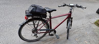 bicicletta pedalata assistita 