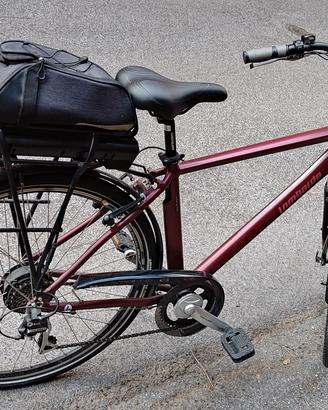 bicicletta pedalata assistita 
