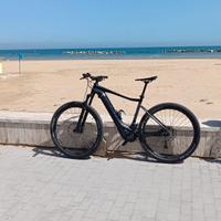 E-Bike Giant Fathom e+2 pro