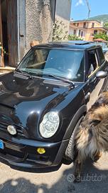 mini r53 