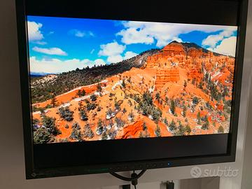 Monitor Eizo