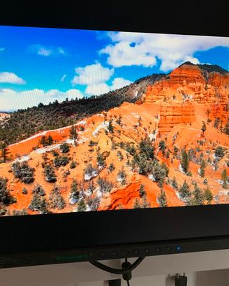 Monitor Eizo