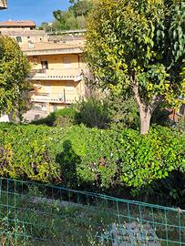 Rif. 275 Appartamento a Loreto Aprutino