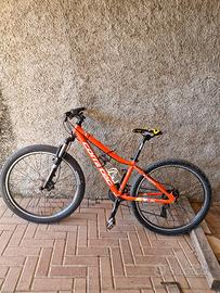 Bicicletta 26 pollici 