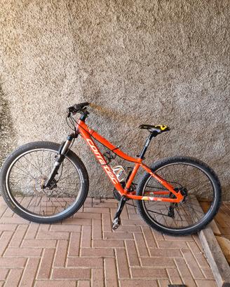 Bicicletta 26 pollici 