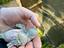 Immagine 3