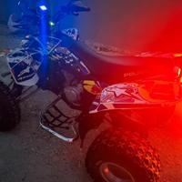 Quad Polaris predator 500 E