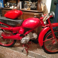 Cardellino e zigolo moto Guzzi