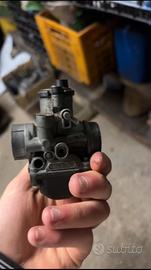 Phbg 19 attacco femmina