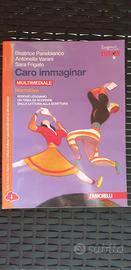 Caro immaginar multimediale  Narrativita