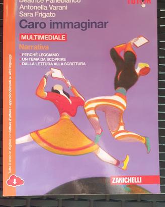 Caro immaginar multimediale  Narrativita