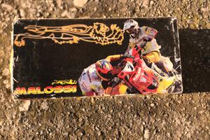 Rapporti primari malossi