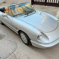 Alfa romeo spider duetto