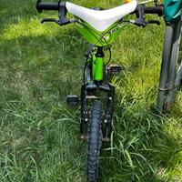 Bici kawasaki 14 pollici