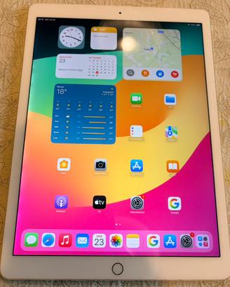 iPad pro12,9 GB 256
